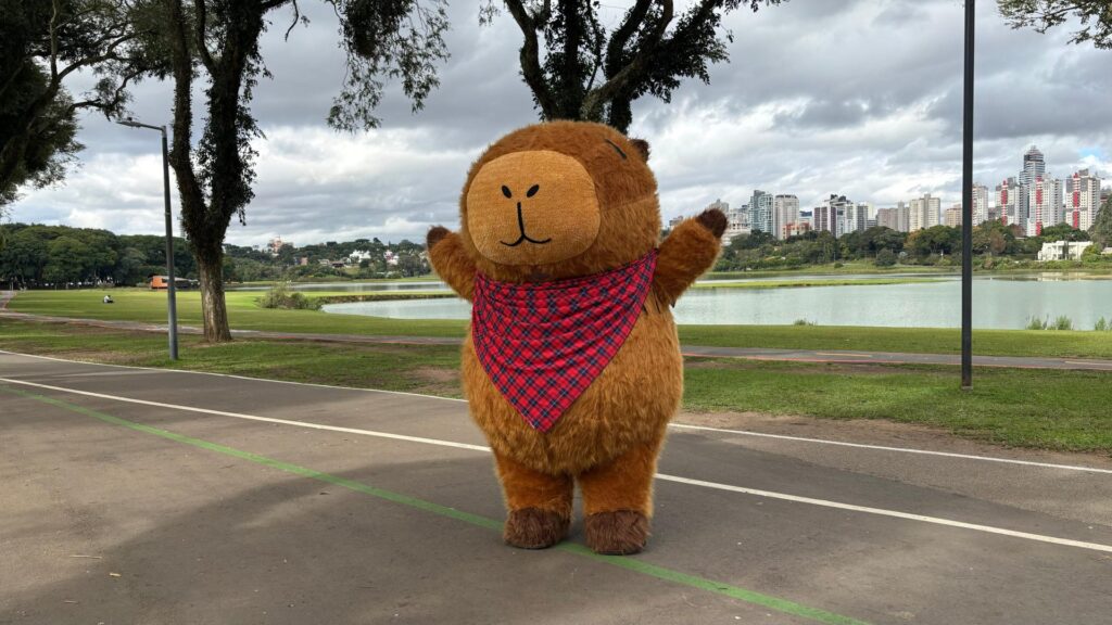 São João de Curitiba no Parque Barigui / Foto: Divulgação