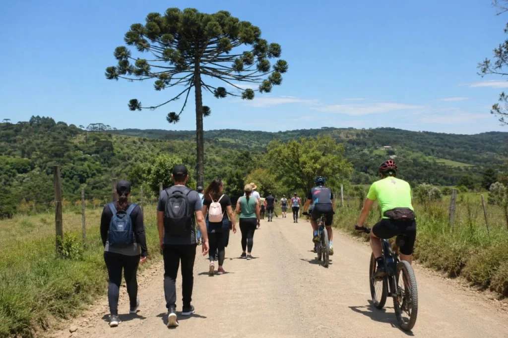 Foto: Reprodução - Caminhada na Natureza Araucária